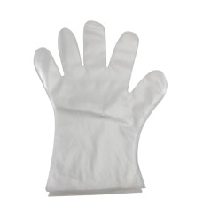Disposable Gloves, X-Large, Pack of 100