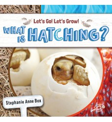 What Is Hatching? Reader, Grade K-2, Paperback