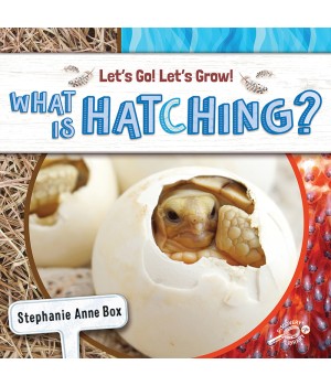 What Is Hatching? Reader, Grade K-2, Paperback