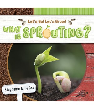 What Is Sprouting? Reader, Grade K-2, Paperback