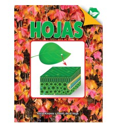 Hojas Book, Hardcover