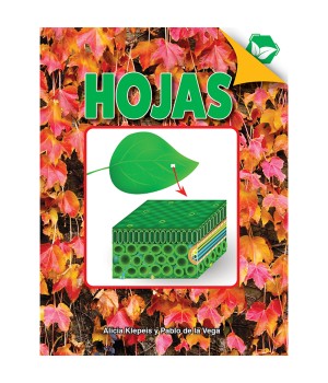 Hojas Book, Hardcover