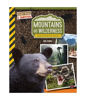 Mountains and Wilderness, Grades 4 - 9