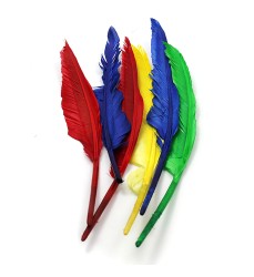 Quill Feathers, 10" & 12", 6 Count