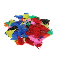 Turkey Feathers, Bright Colors, 14 Grams