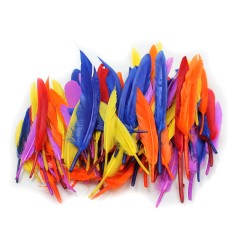 Duck Quills Feathers, 14 Grams