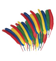 Quill Feathers, Assorted Colors, 12", 24 Pieces