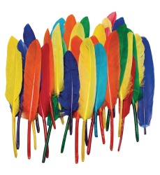 Duck Quills, Assorted Colors, 3" to 5", 14 grams