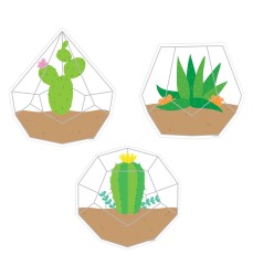 Positively Plants Terrariums 6" Designer Cut-Outs, Pack of 36