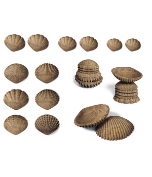 edxeducation Tactile Shells - Eco-Friendly - 36 Pieces, 6 Textures, 3 Sizes - Ages 18m+