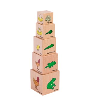 Lifecycle Wooden Blocks - Set of 5
