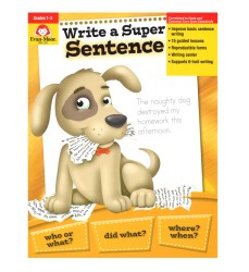 Write A Super Sentence Book