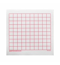 Graphing 3M Post-it® Notes,10 x 10 Grid, 4 Pads