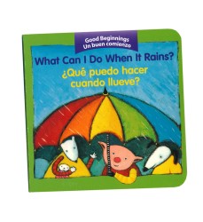 What Can I Do When it Rains?, ¿qué Puedo Hacer Cuando Llueve? Bilingual Board Book