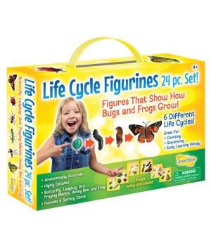 Life Cycle Figurines Set, 24 Pieces