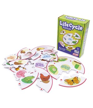 Life Cycle Puzzles