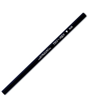 Try Rex® Pencil, Intermediate Without Eraser, Pack of 12