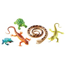 Jumbo Reptiles & Amphibians, Set of 5