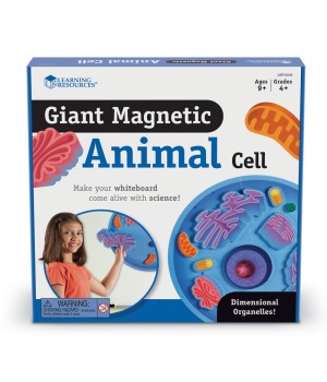 Giant Magnetic Animal Cells