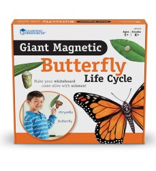 Giant Magnetic Butterfly Life Cycle, Set of 9
