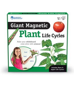 Giant Magnetic Plant Life Cycle, Set of 12