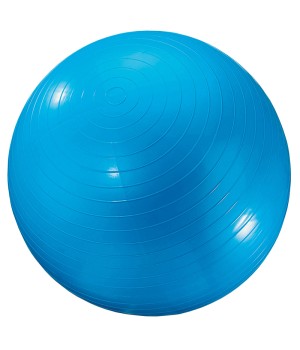 Exercise Ball, 24", Blue
