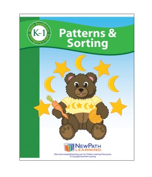 Patterns & Sorting Student Activity Guide