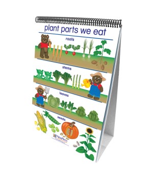 Early Childhood Science Readiness Flip Charts, All About Plants