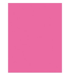 Multi-Purpose Paper, Hot Pink, 8-1/2" x 11", 500 Sheets