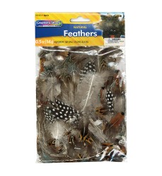 Natural Feathers, Natural Assorted Colors, Assorted Sizes, 1/2 oz.