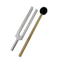 Tuning Fork and Striker