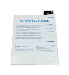 Microslide, Photosynthesis, 35mm