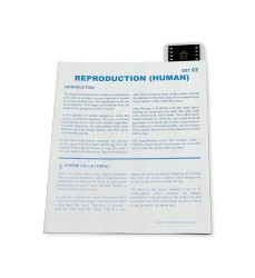 Microslide, Reproduction, 35mm