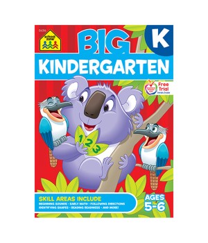 BIG Workbook, Kindergarten