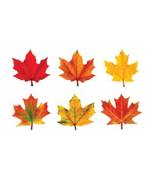 Maple Leaves Classic Accents® Variety Pack, 36 ct