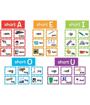 Short Vowels Pocket Chart Cards, 205 Pieces