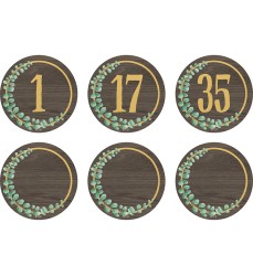 Eucalyptus Numbers Magnetic Accents, 2-1/4", Pack of 42