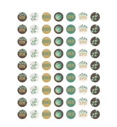 Eucalyptus Mini Stickers, Pack of 378
