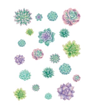 Rustic Bloom Succulents Accents - Assorted Sizes