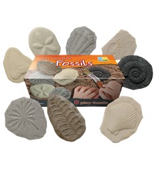 Let's Investigate Fossil Stone, Pack of 8