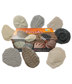 Let's Investigate Fossil Stone, Pack of 8