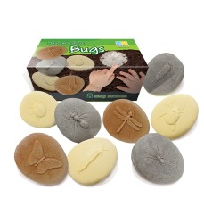 Let's Investigate Bugs Stone, Pack of 8