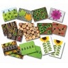 LADYBUGS EARLY NUMBER CARDS LADYBUGS EARLY NUMBER CARDS