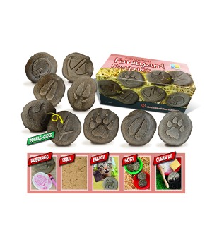 Let's Investigate Farmyard Footprints Stone, Pack of 8