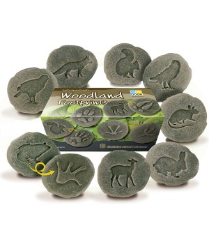 Let's Investigate Woodland Footprint Stones, Set of 8