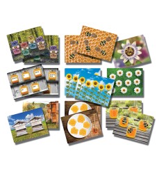 Honey Bee Early Number Cards, Set of 16