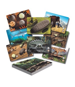 Prehistoric Teeth  Explore and Discover Activity Cards, Set of 16