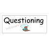 Questioning Questioning